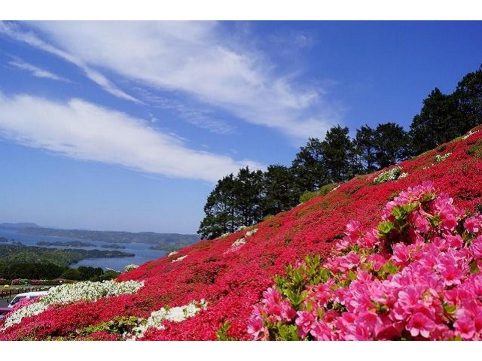 The Paradise Garden Сасебо Екстериор снимка